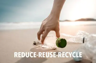 Reduce-Reuse-Recycle | The Harvest Table