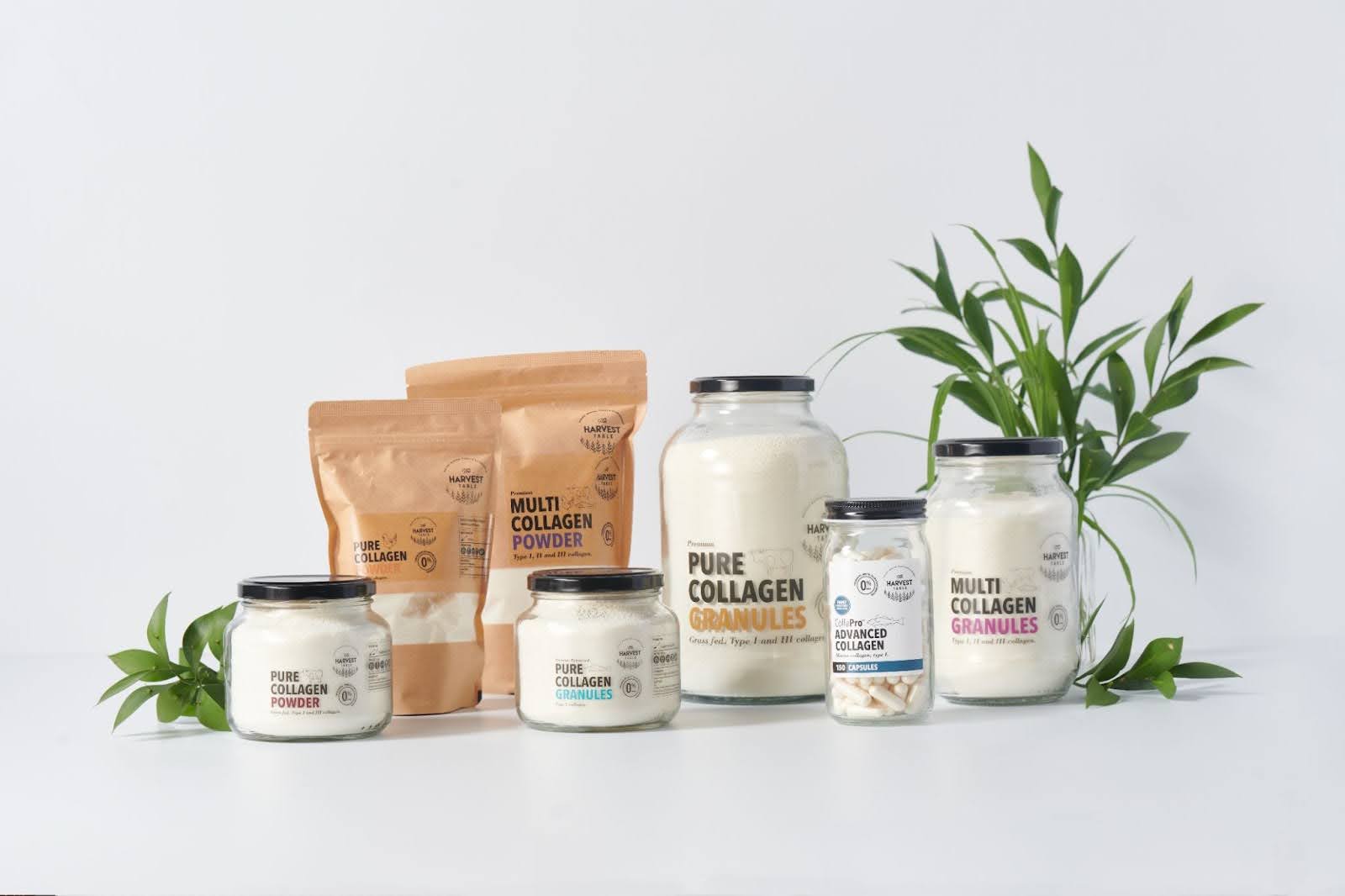 How does collagen support gut health?