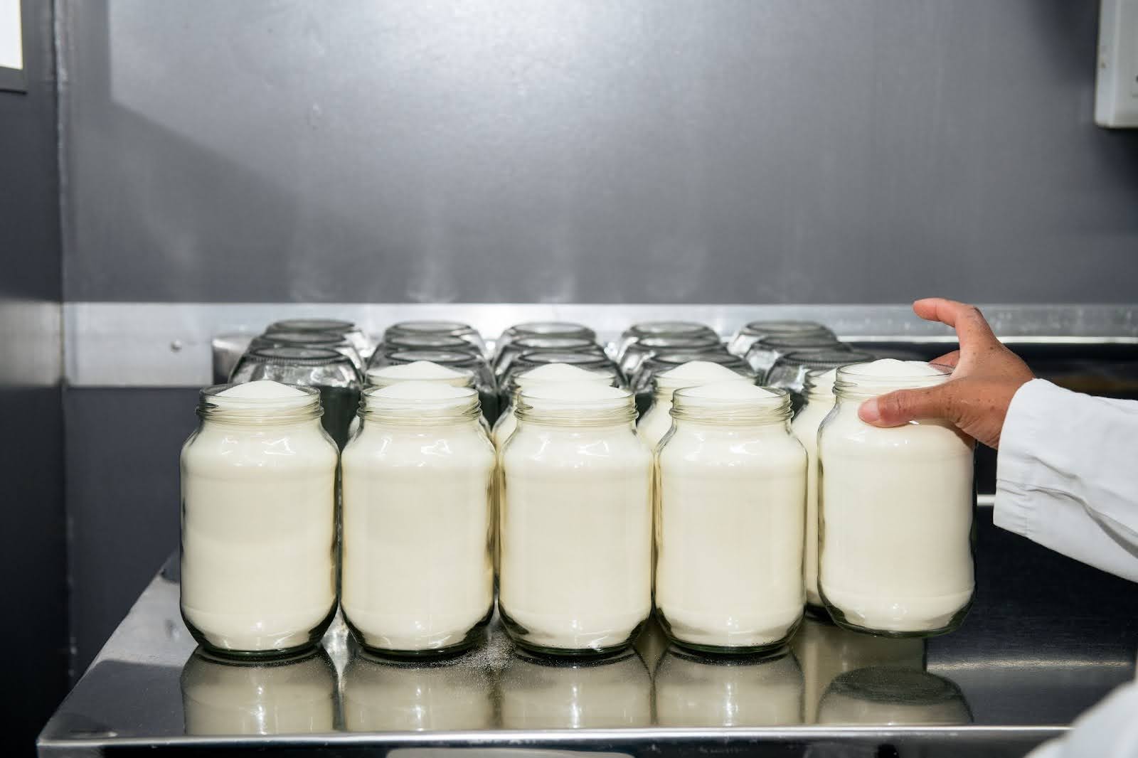 What's the Difference Between Grass-Fed Collagen and Regular Collagen?